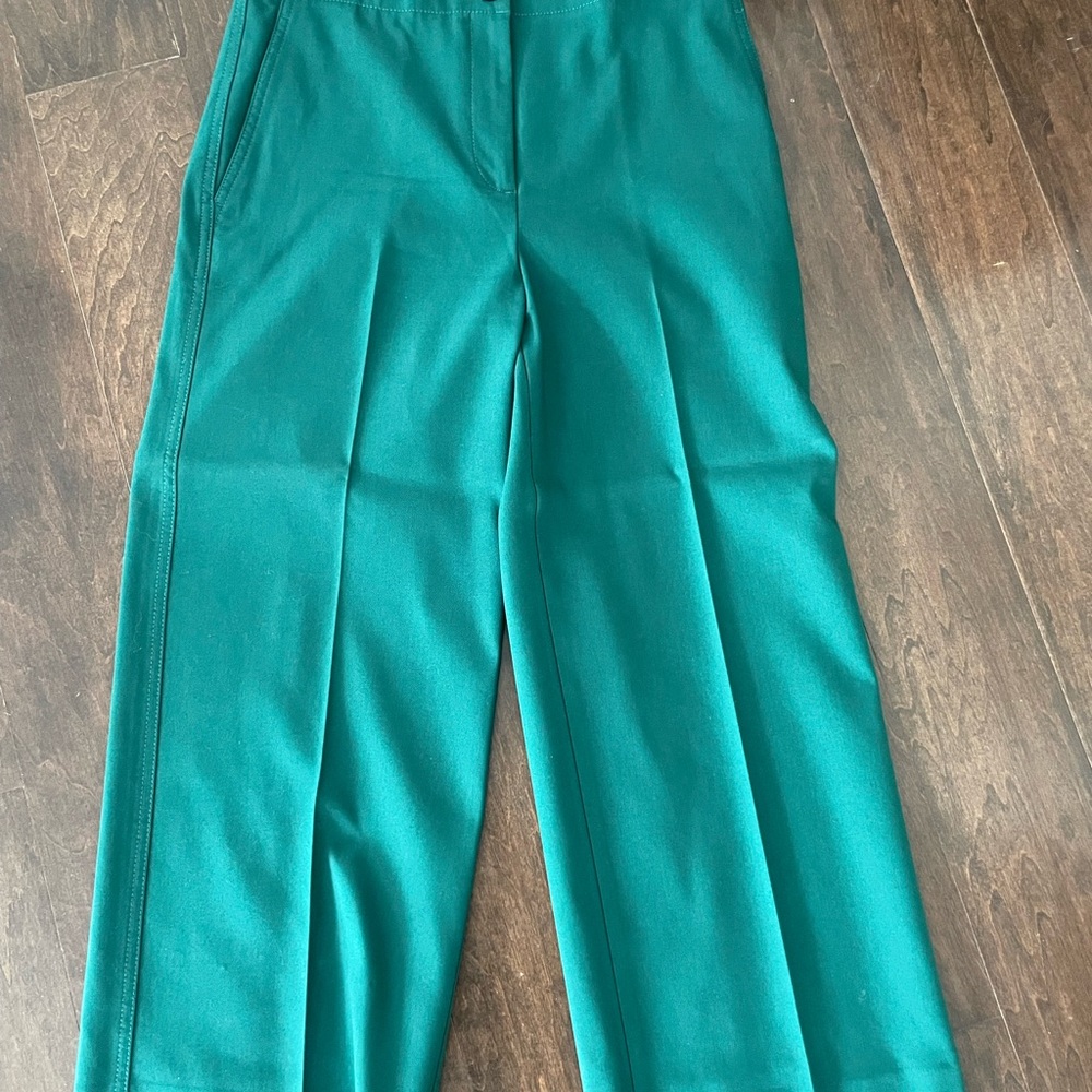 Ann Taylor Cropped Wide Leg Green Trouser Pants
